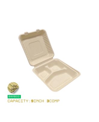 Eco-Friendly Compostable Takeaway Box