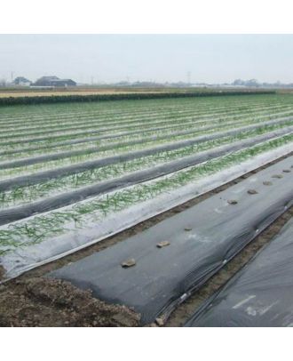 BioPlastics AgroGuard for Sustainable Farming